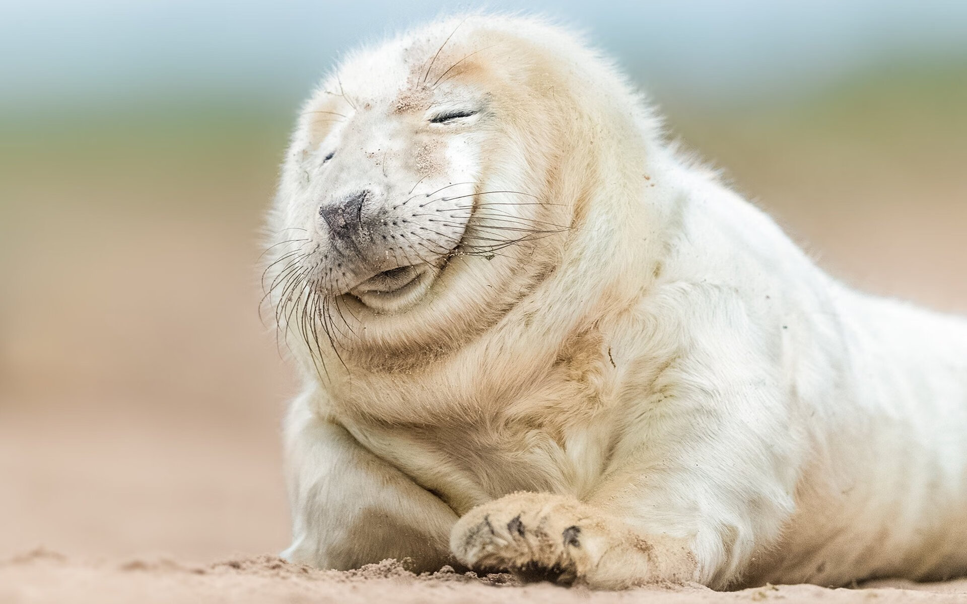 【共识Update】最新比赛规则,让比赛更加公平公正?,比赛规则很简单