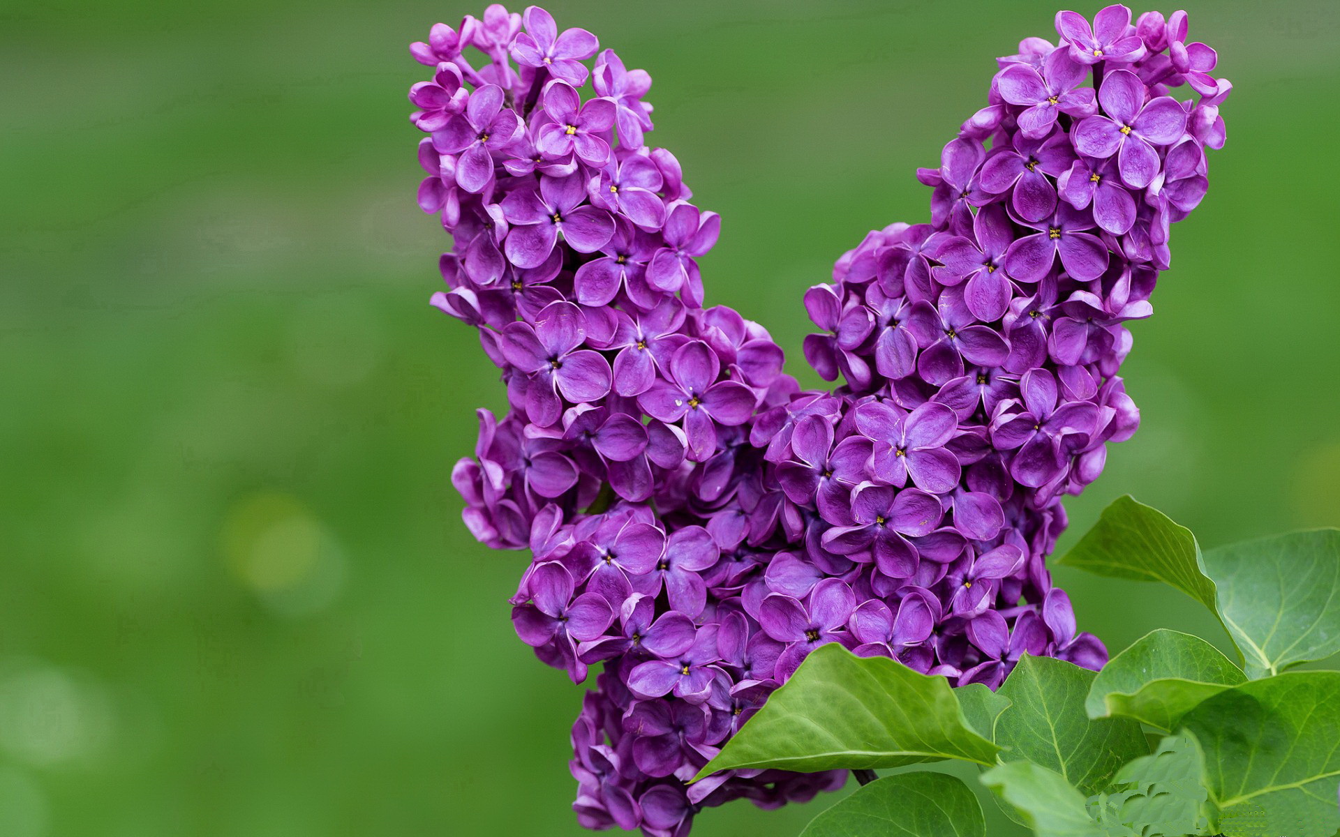 开云官网首页-【新赛制探索】未来棒球或成为“秒秒秒”的运动，棒球新玩法