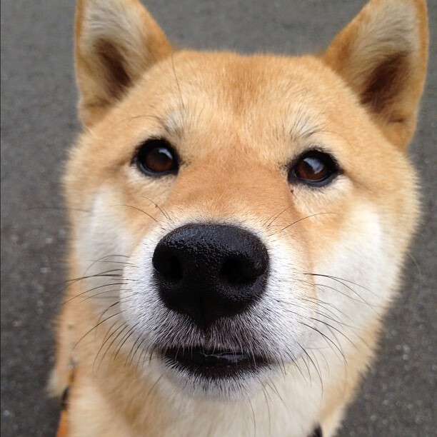 史上最“炫炸”的投篮手感:库里多场比赛三分球命中率超过70%!